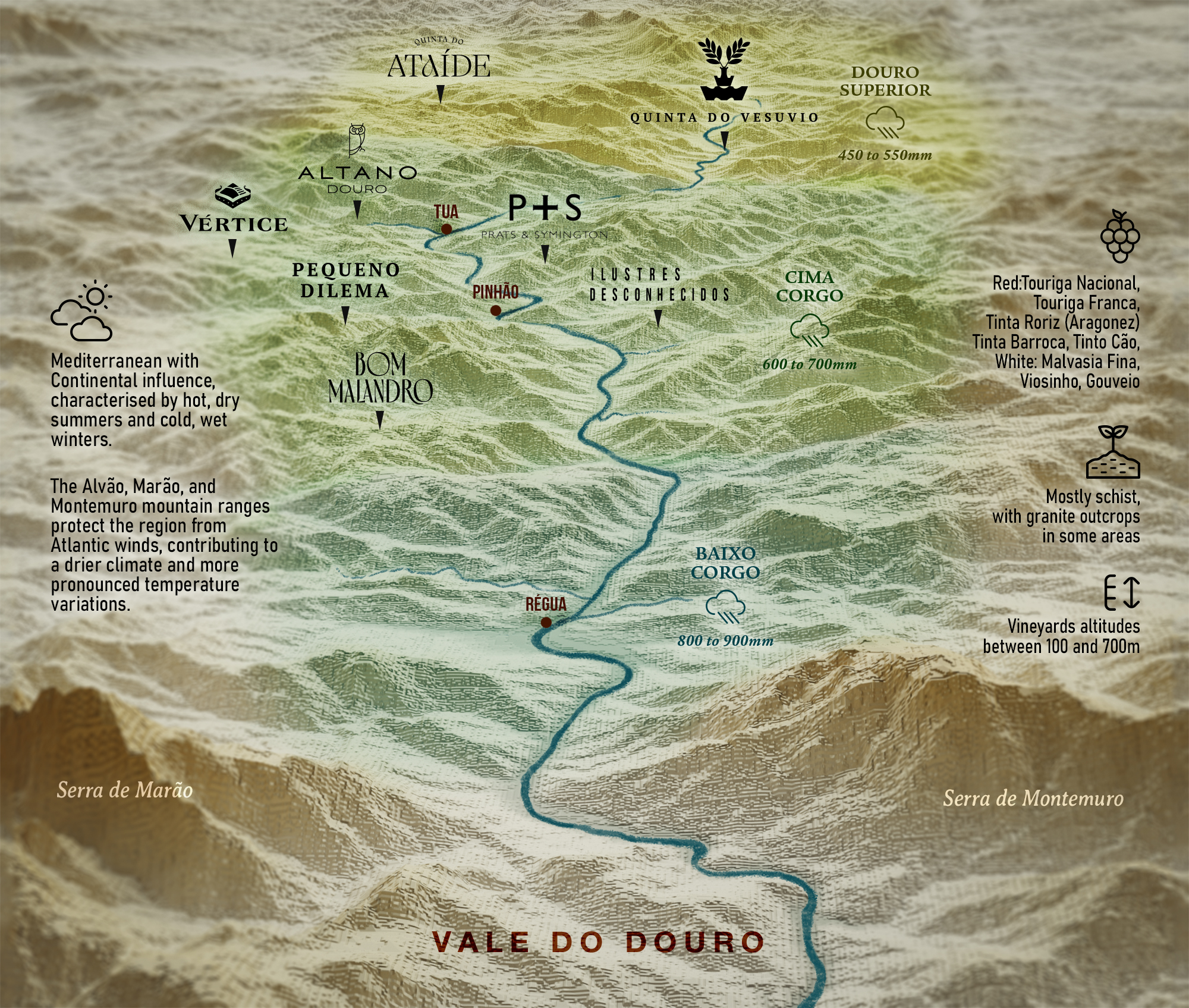 Sérigraphie hymne à l'abeille